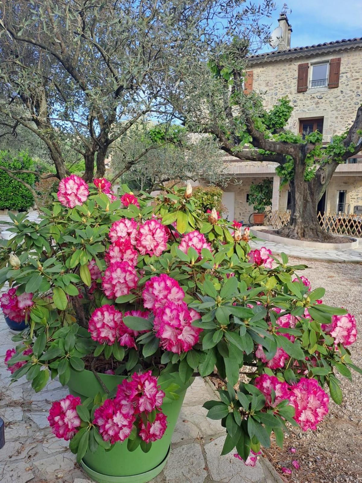 Gite 3 "Le Canal De Baza" Aux Magnolias Ομπενά Εξωτερικό φωτογραφία