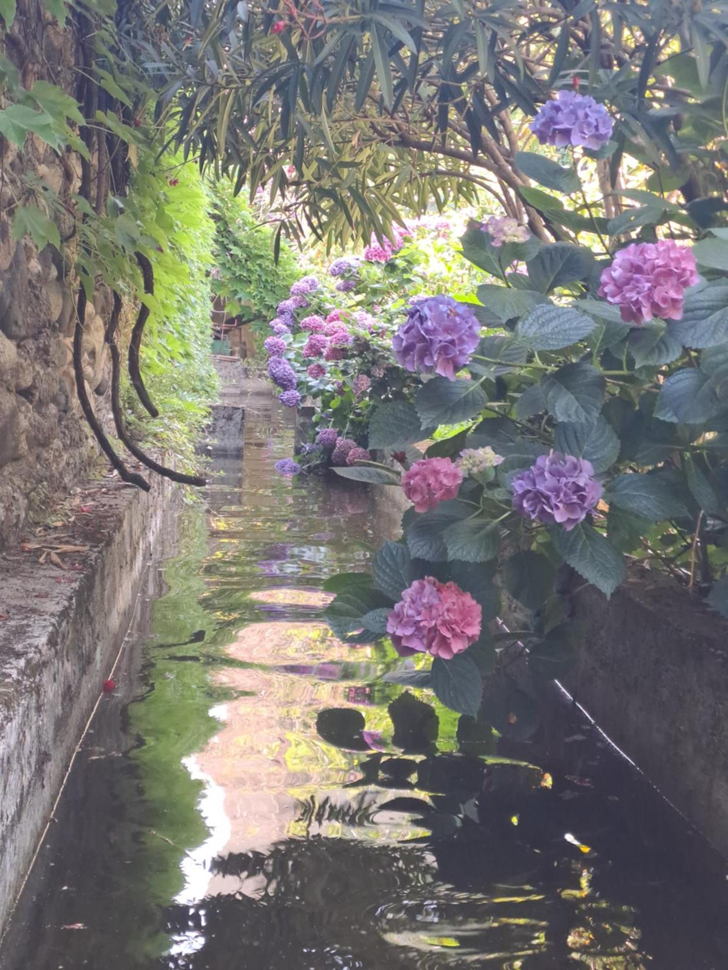 Gite 3 "Le Canal De Baza" Aux Magnolias Ομπενά Εξωτερικό φωτογραφία