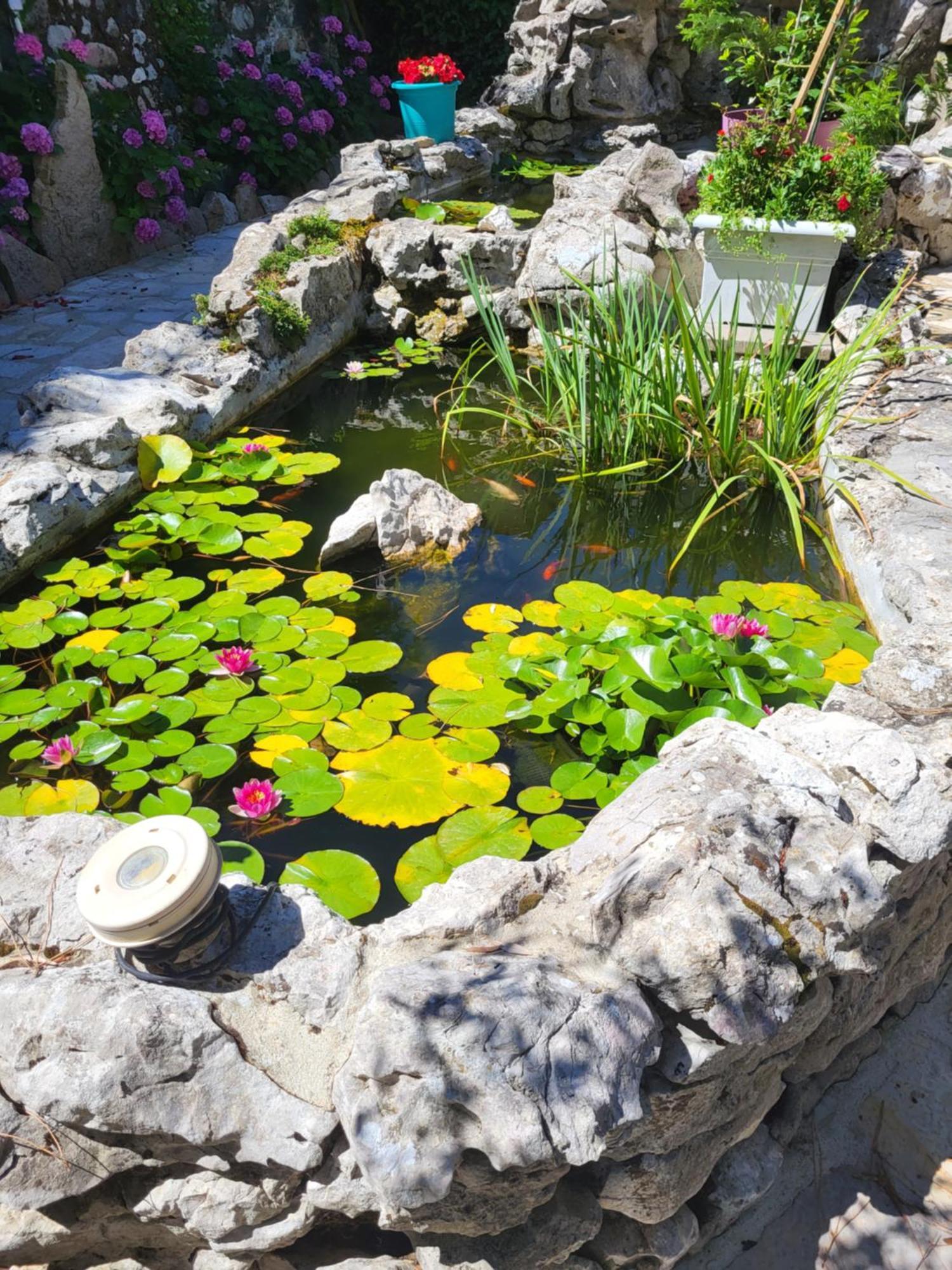 Gite 3 "Le Canal De Baza" Aux Magnolias Ομπενά Εξωτερικό φωτογραφία
