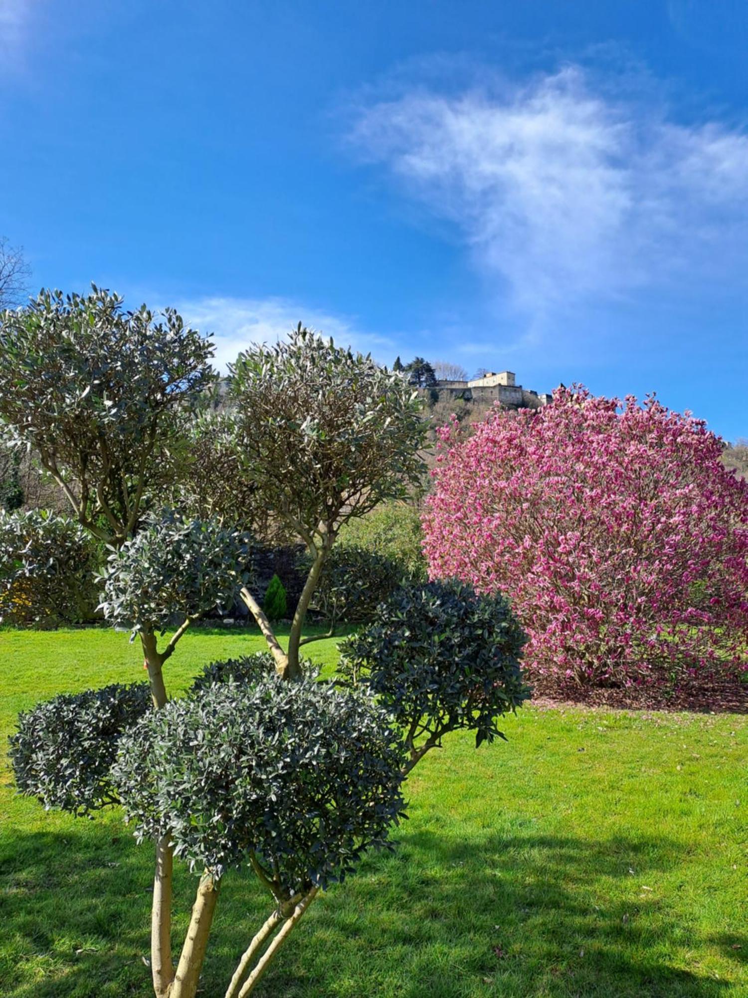 Gite 3 "Le Canal De Baza" Aux Magnolias Ομπενά Εξωτερικό φωτογραφία