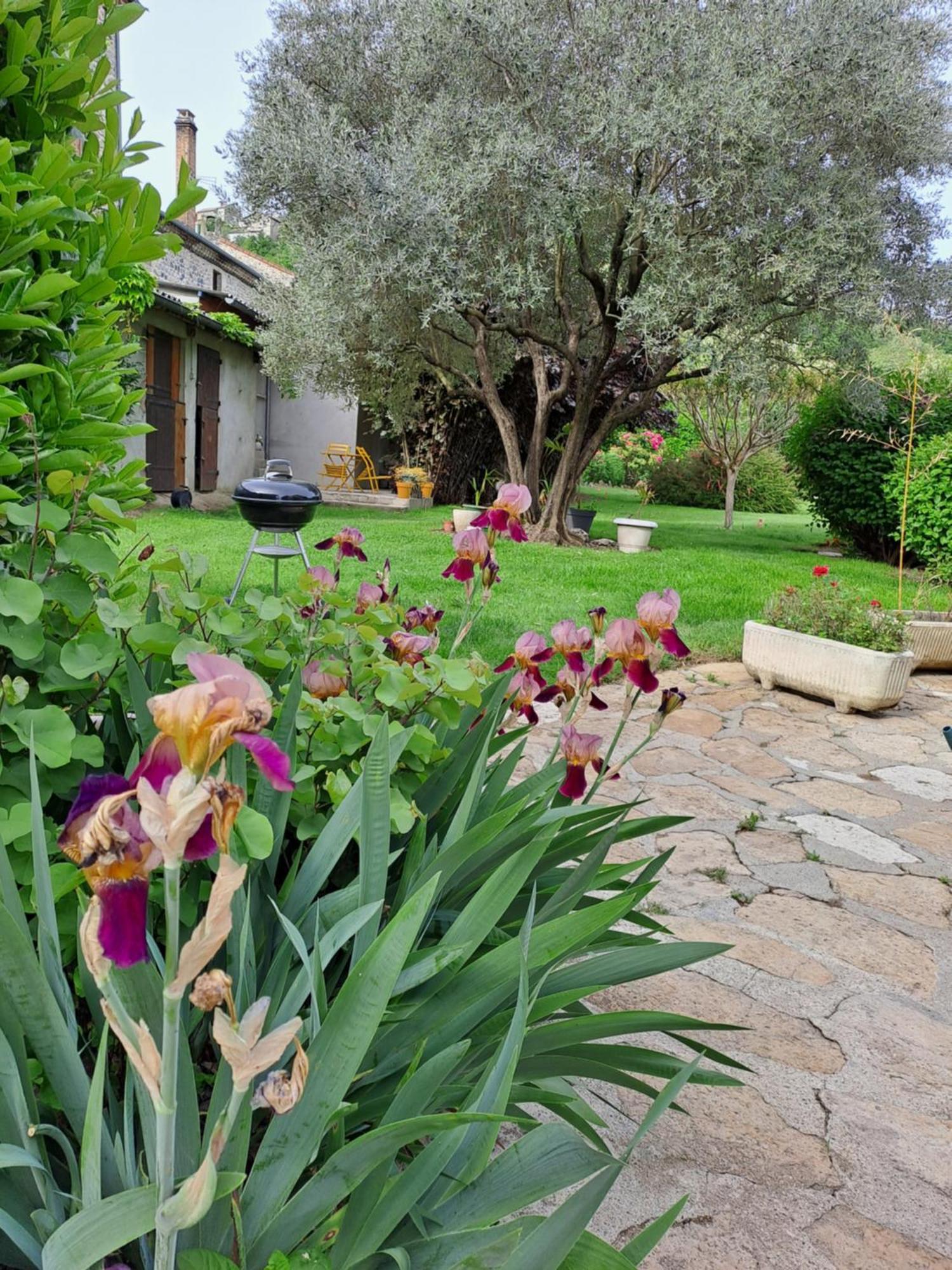 Gite 3 "Le Canal De Baza" Aux Magnolias Ομπενά Εξωτερικό φωτογραφία